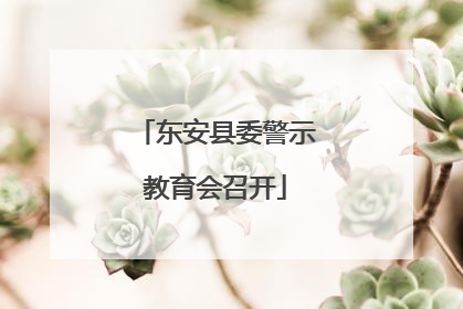 东安县委警示教育会召开