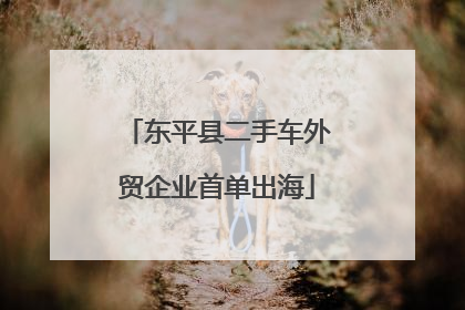 东平县二手车外贸企业首单出海