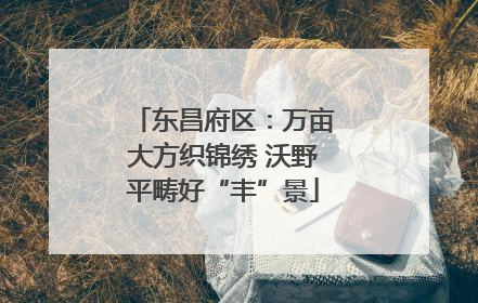 东昌府区：万亩大方织锦绣 沃野平畴好“丰”景