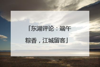 东湖评论：端午粽香，江城留客