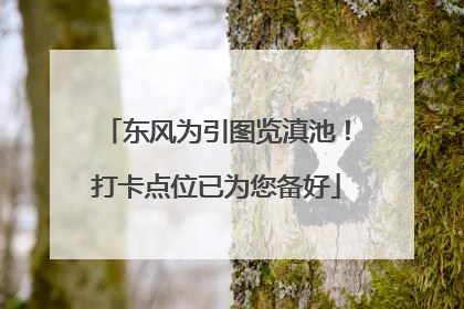 东风为引图览滇池！打卡点位已为您备好