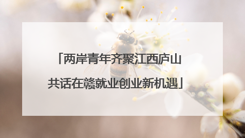两岸青年齐聚江西庐山 共话在赣就业创业新机遇