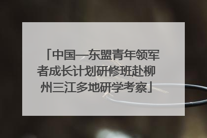中国—东盟青年领军者成长计划研修班赴柳州三江多地研学考察