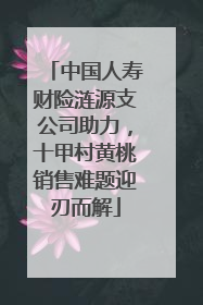 中国人寿财险涟源支公司助力，十甲村黄桃销售难题迎刃而解