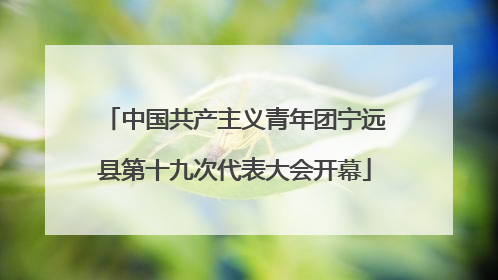 中国共产主义青年团宁远县第十九次代表大会开幕