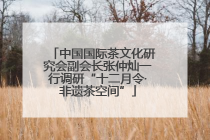 中国国际茶文化研究会副会长张仲灿一行调研“十二月令·非遗茶空间”