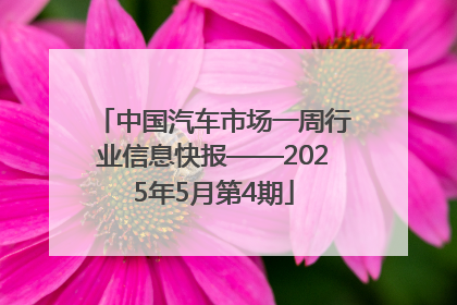 中国汽车市场一周行业信息快报——2025年5月第4期