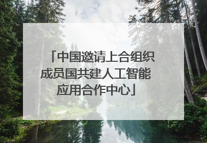 中国邀请上合组织成员国共建人工智能应用合作中心
