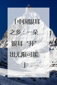 中国银耳之乡：一朵银耳“开”出无限可能