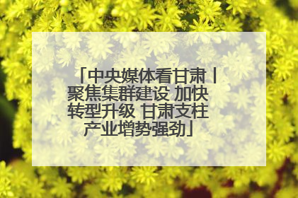 中央媒体看甘肃丨聚焦集群建设 加快转型升级 甘肃支柱产业增势强劲