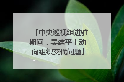 中央巡视组进驻期间，吴建平主动向组织交代问题