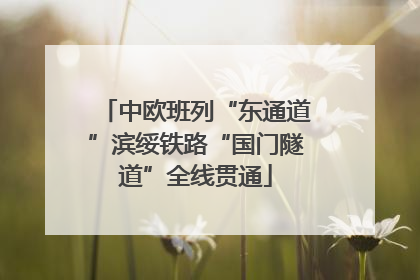 中欧班列“东通道”滨绥铁路“国门隧道”全线贯通