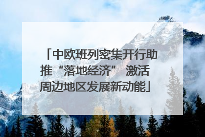 中欧班列密集开行助推“落地经济” 激活周边地区发展新动能