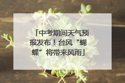 中考期间天气预报发布！台风“蝴蝶”将带来风雨
