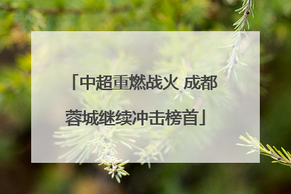 中超重燃战火 成都蓉城继续冲击榜首