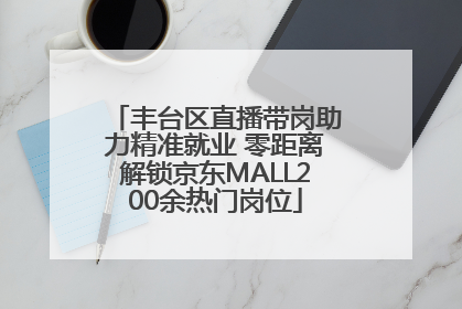 丰台区直播带岗助力精准就业 零距离解锁京东MALL200余热门岗位