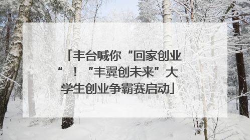 丰台喊你“回家创业”！“丰翼创未来”大学生创业争霸赛启动