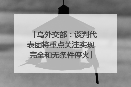 乌外交部：谈判代表团将重点关注实现完全和无条件停火