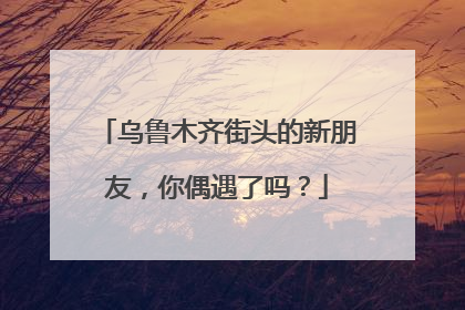 乌鲁木齐街头的新朋友，你偶遇了吗？