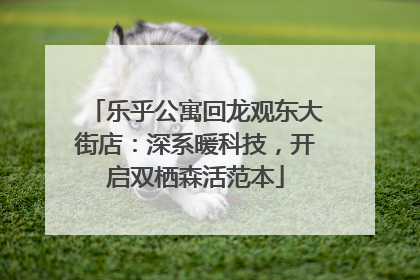 乐乎公寓回龙观东大街店：深系暖科技，开启双栖森活范本
