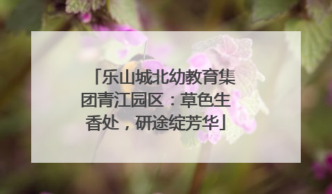 乐山城北幼教育集团青江园区：草色生香处，研途绽芳华