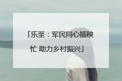 乐至：军民同心插秧忙 助力乡村振兴