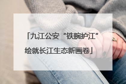 九江公安“铁腕护江”绘就长江生态新画卷