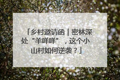 乡村邀请函｜密林深处“羊咩咩”，这个小山村如何逆袭？