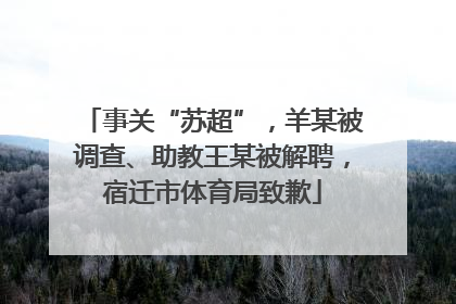 事关“苏超”，羊某被调查、助教王某被解聘，宿迁市体育局致歉