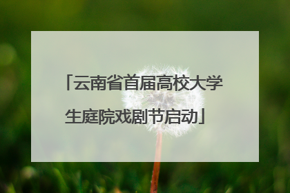 云南省首届高校大学生庭院戏剧节启动