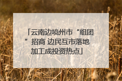 云南边境州市“组团”招商 边民互市落地加工成投资热点