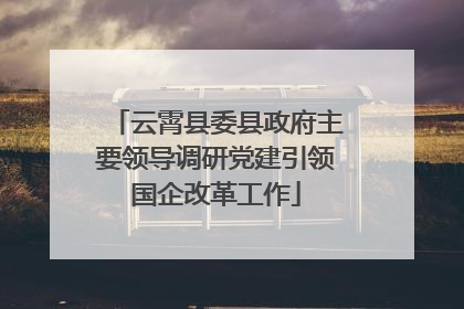 云霄县委县政府主要领导调研党建引领国企改革工作