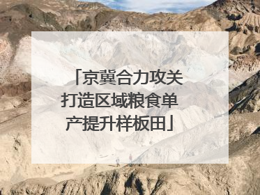 京冀合力攻关打造区域粮食单产提升样板田