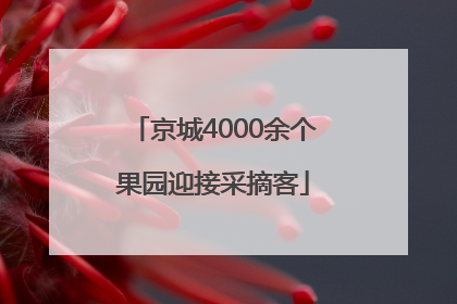 京城4000余个果园迎接采摘客