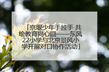 京堰少年手拉手 共绘教育同心圆——东风22小学与北京景风小学开展对口协作活动