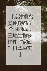 京津冀鸟类种数约占全国四成，三地生物多样性“家底”日益厚实