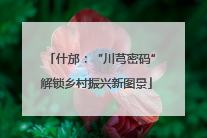 什邡：“川芎密码”解锁乡村振兴新图景