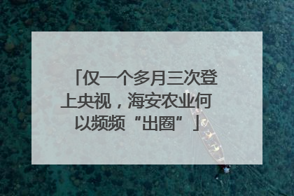 仅一个多月三次登上央视，海安农业何以频频“出圈”