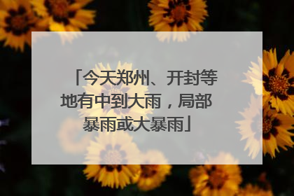 今天郑州、开封等地有中到大雨，局部暴雨或大暴雨