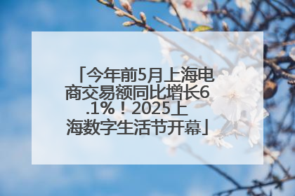 今年前5月上海电商交易额同比增长6.1%！2025上海数字生活节开幕