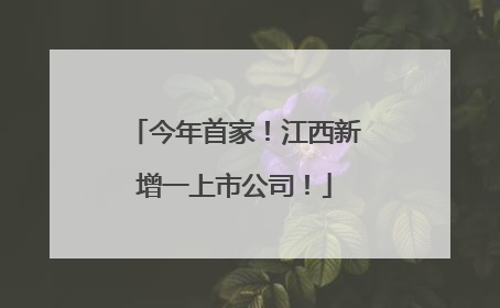 今年首家！江西新增一上市公司！