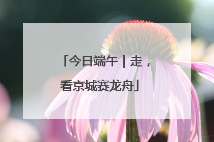 今日端午｜走，看京城赛龙舟