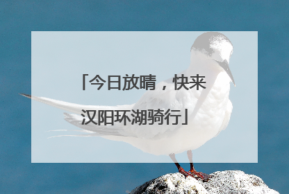 今日放晴，快来汉阳环湖骑行