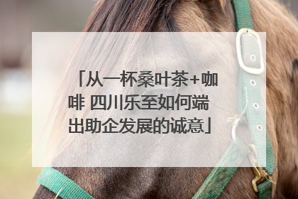 从一杯桑叶茶+咖啡 四川乐至如何端出助企发展的诚意