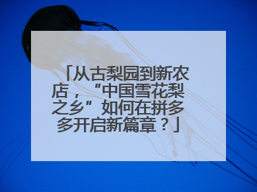 从古梨园到新农店，“中国雪花梨之乡”如何在拼多多开启新篇章？