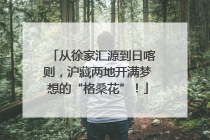 从徐家汇源到日喀则，沪藏两地开满梦想的“格桑花”！