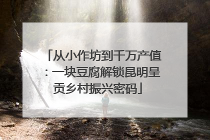 从小作坊到千万产值：一块豆腐解锁昆明呈贡乡村振兴密码