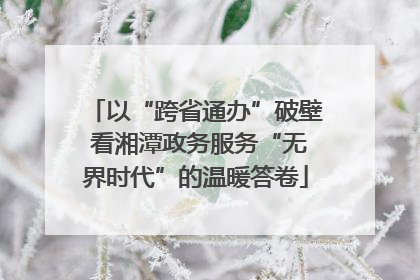 以“跨省通办”破壁 看湘潭政务服务“无界时代”的温暖答卷