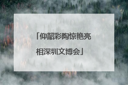 仰韶彩陶惊艳亮相深圳文博会