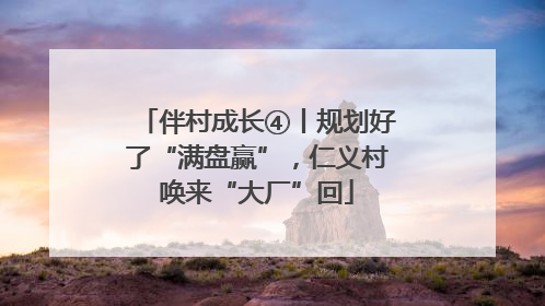伴村成长④丨规划好了“满盘赢”，仁义村唤来“大厂”回